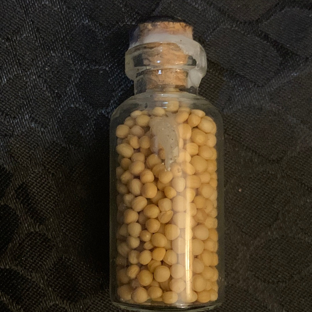 Mustard Seed  Protection Jar