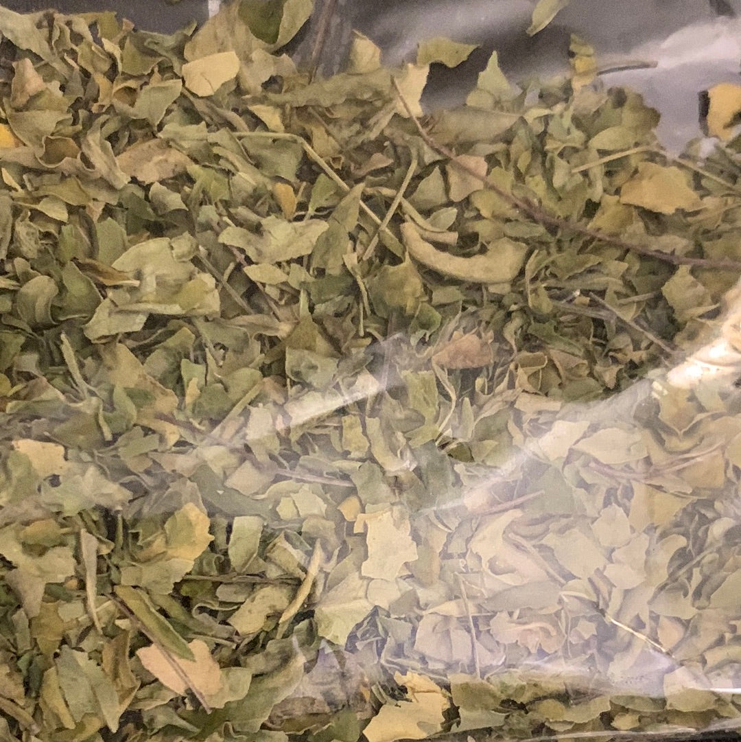 Moringa Herbs