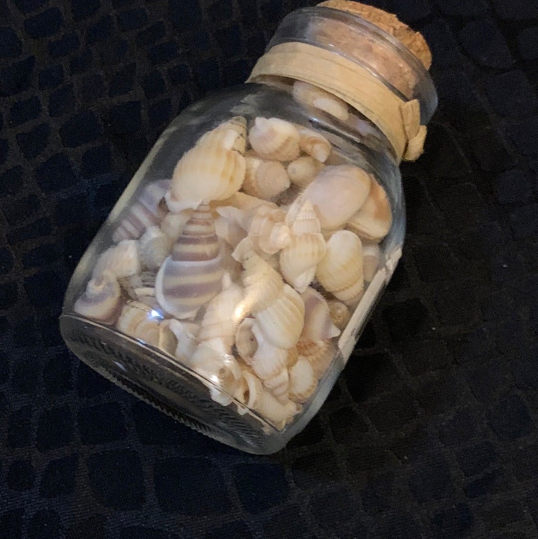 Jar of shells