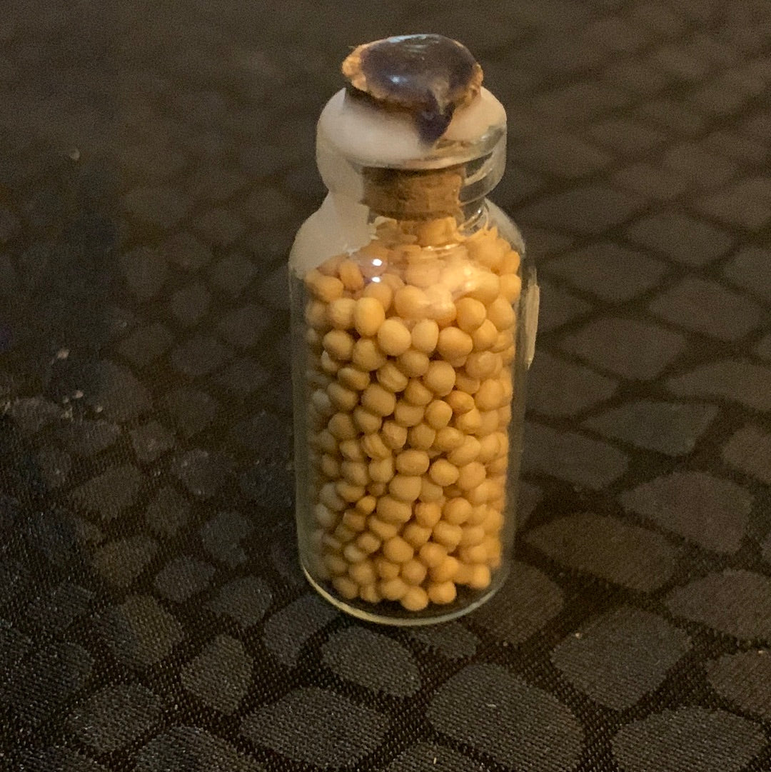 Mustard Seed  Protection Jar