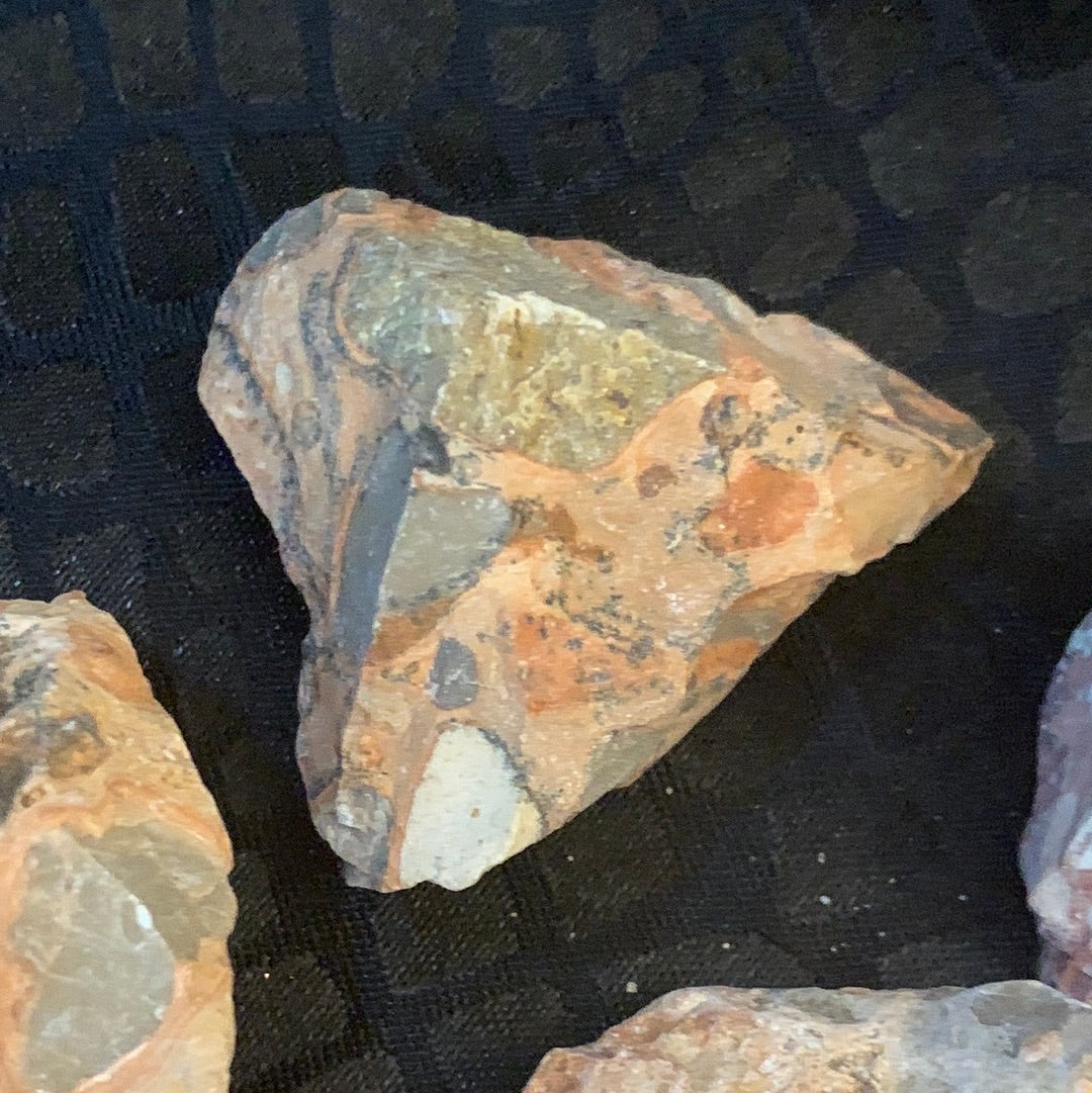 Stromatolite Raw Crystal